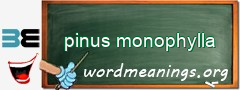 WordMeaning blackboard for pinus monophylla